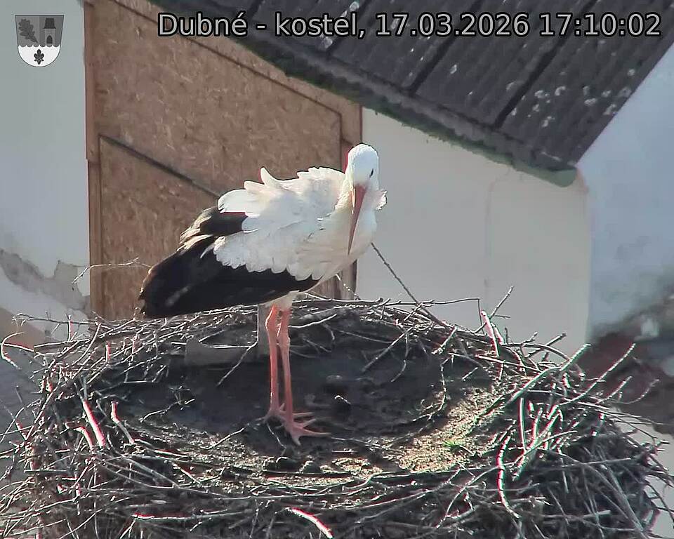 Capi_Dubne_20260317_171002.jpg (1350&nbsp;x&nbsp;1080)