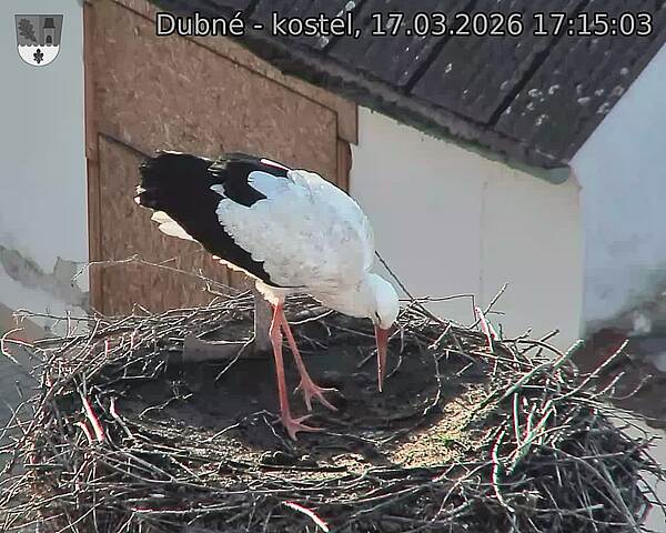 Capi_Dubne_20260317_171503.jpg (1350&nbsp;x&nbsp;1080)