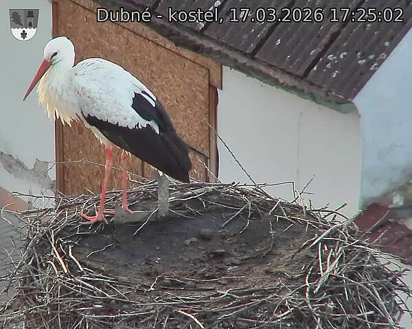 Capi_Dubne_20260317_172502.jpg (1350&nbsp;x&nbsp;1080)