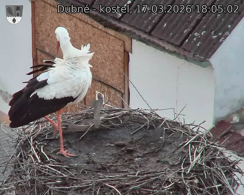 Capi_Dubne_20260317_180502.jpg (1350&nbsp;x&nbsp;1080)