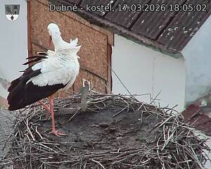 Capi_Dubne_20260317_180502.jpg (1350&nbsp;x&nbsp;1080)