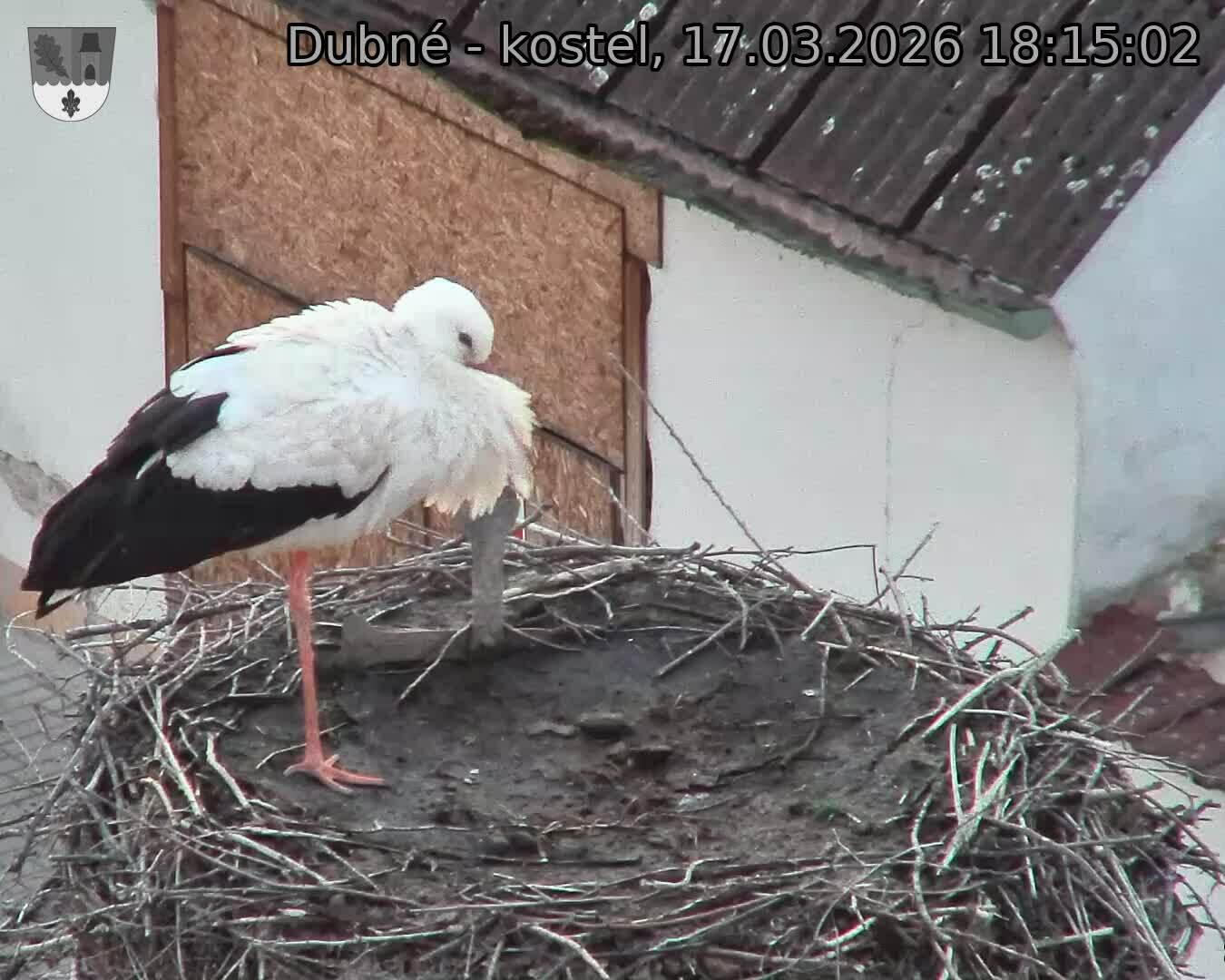 Capi_Dubne_20260317_181502.jpg (1350&nbsp;x&nbsp;1080)