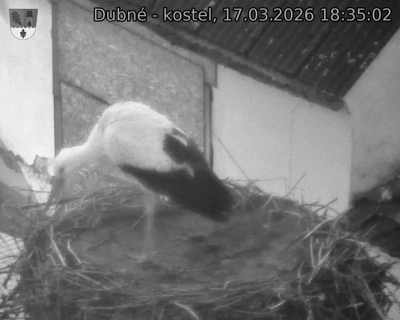 Capi_Dubne_20260317_183502.jpg (1350&nbsp;x&nbsp;1080)