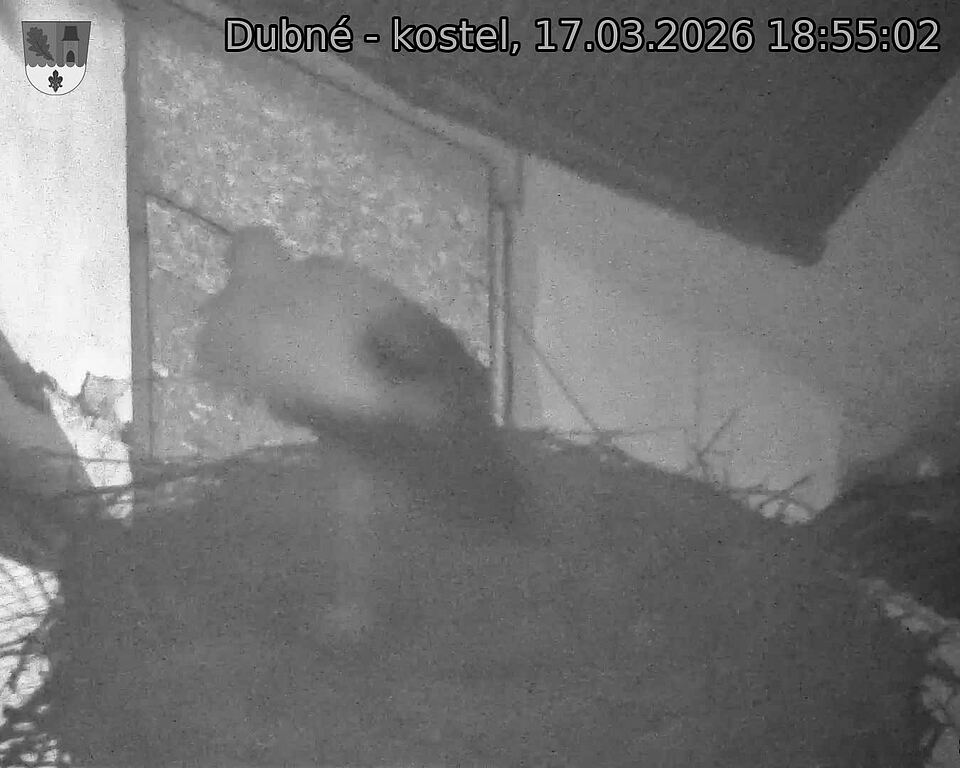 Capi_Dubne_20260317_185502.jpg (1350&nbsp;x&nbsp;1080)