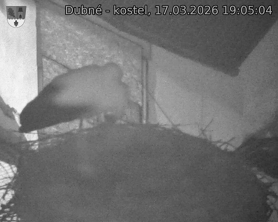 Capi_Dubne_20260317_190504.jpg (1350&nbsp;x&nbsp;1080)