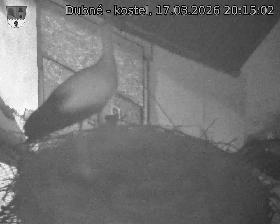 Capi_Dubne_20260317_201502.jpg (1350&nbsp;x&nbsp;1080)
