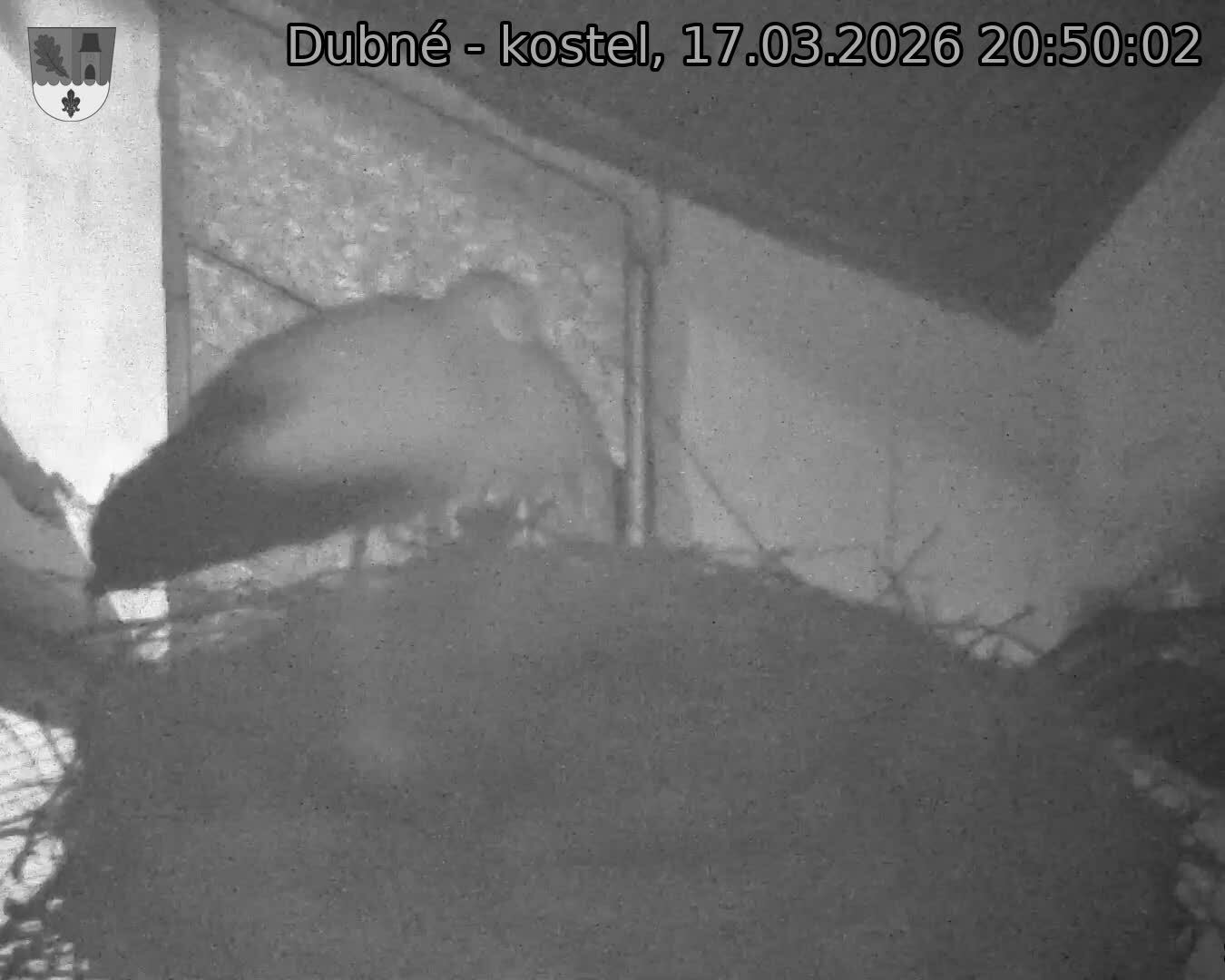 Capi_Dubne_20260317_205002.jpg (1350&nbsp;x&nbsp;1080)