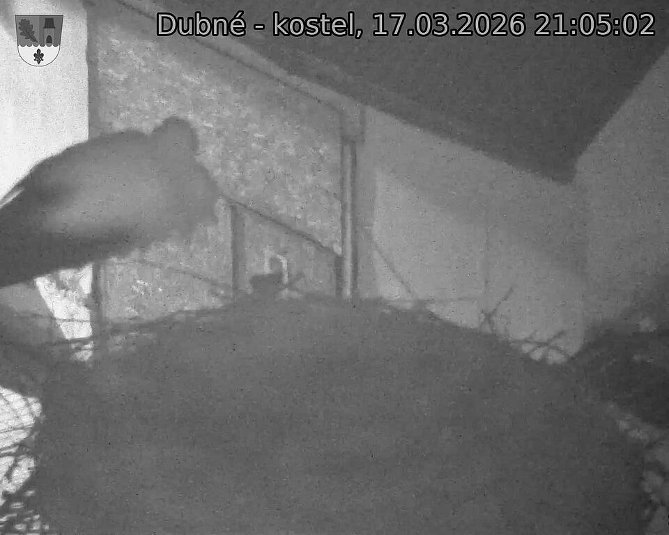 Capi_Dubne_20260317_210502.jpg (1350&nbsp;x&nbsp;1080)