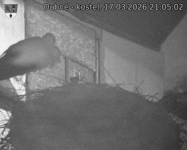 Capi_Dubne_20260317_210502.jpg (1350&nbsp;x&nbsp;1080)