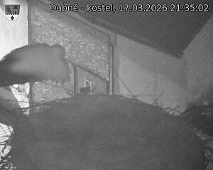 Capi_Dubne_20260317_213502.jpg (1350&nbsp;x&nbsp;1080)