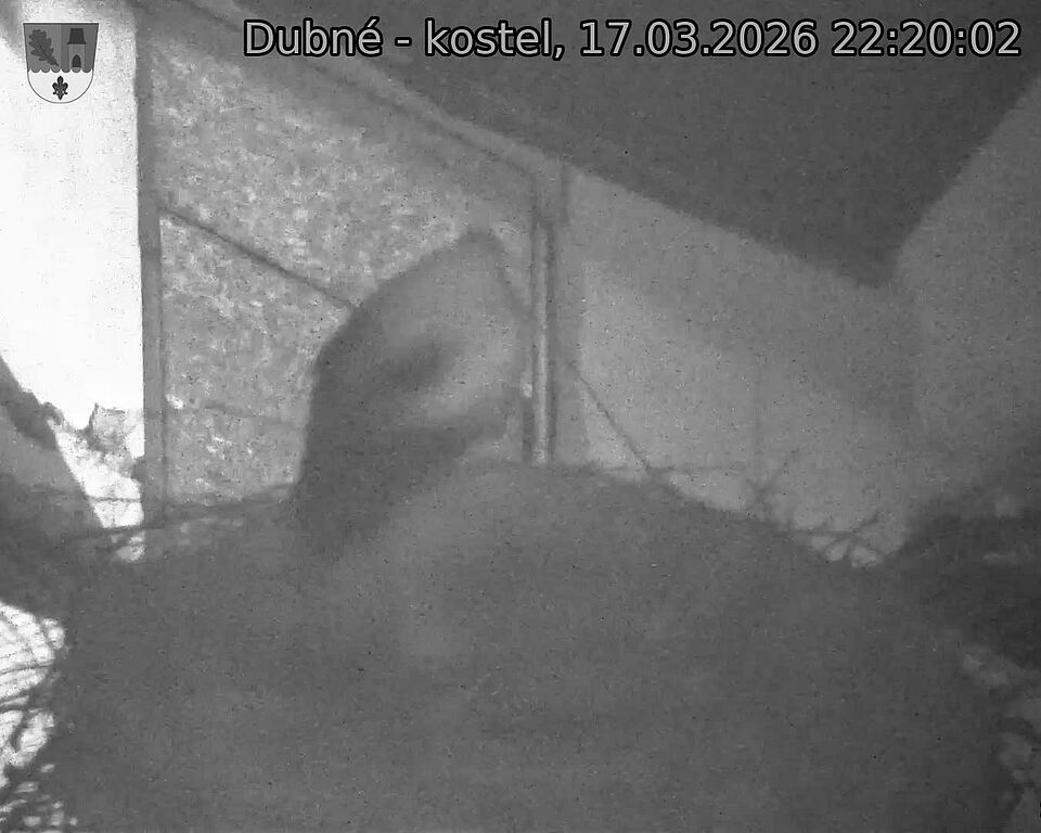 Capi_Dubne_20260317_222002.jpg (1350&nbsp;x&nbsp;1080)