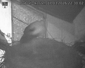 Capi_Dubne_20260317_223002.jpg (1350&nbsp;x&nbsp;1080)