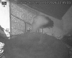 Capi_Dubne_20260317_224503.jpg (1350&nbsp;x&nbsp;1080)