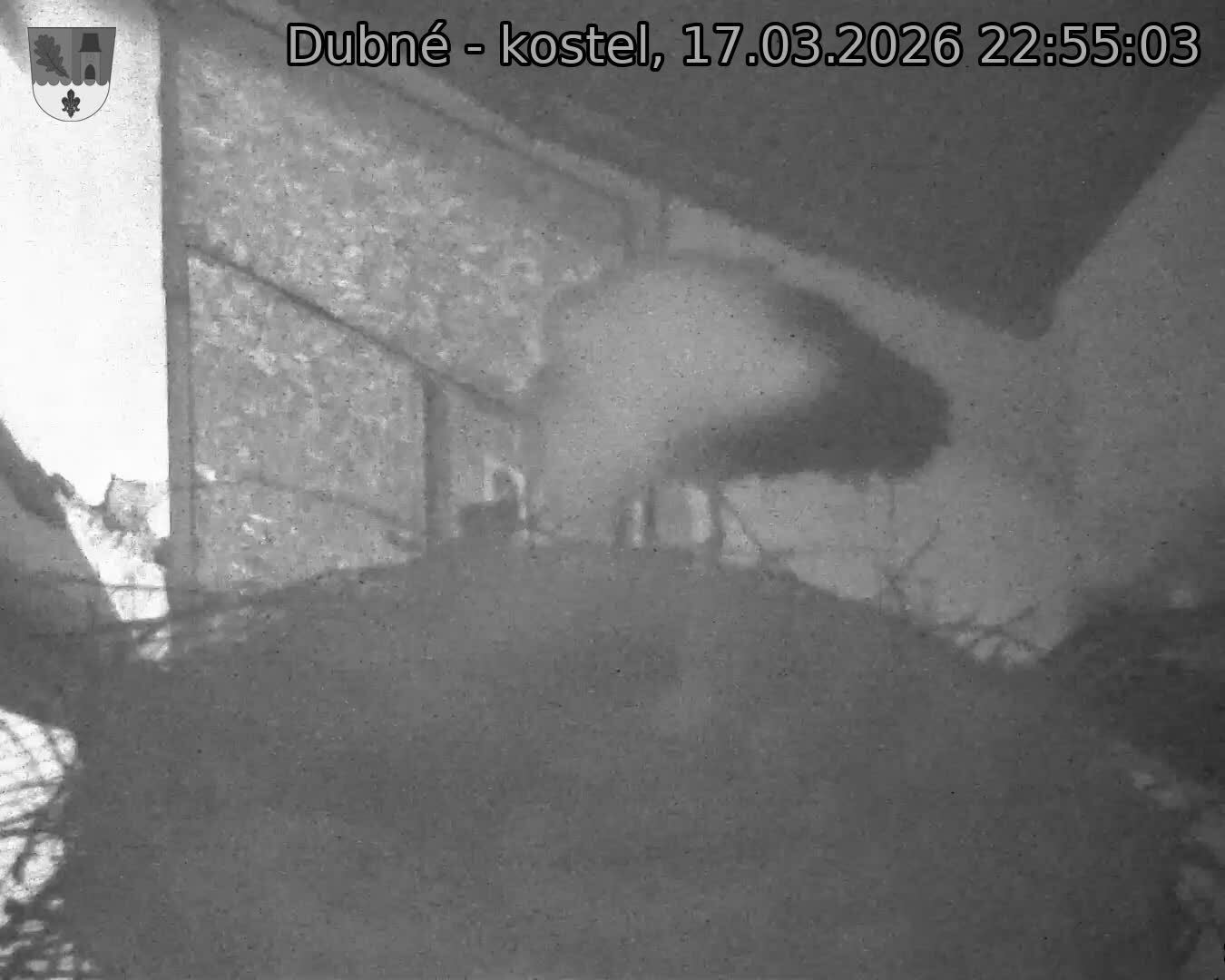 Capi_Dubne_20260317_225503.jpg (1350&nbsp;x&nbsp;1080)