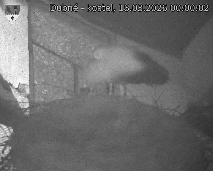 Capi_Dubne_20260318_000002.jpg (1350&nbsp;x&nbsp;1080)