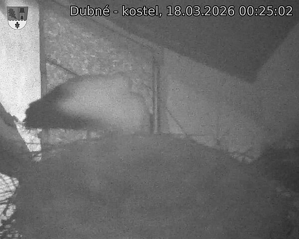 Capi_Dubne_20260318_002502.jpg (1350&nbsp;x&nbsp;1080)