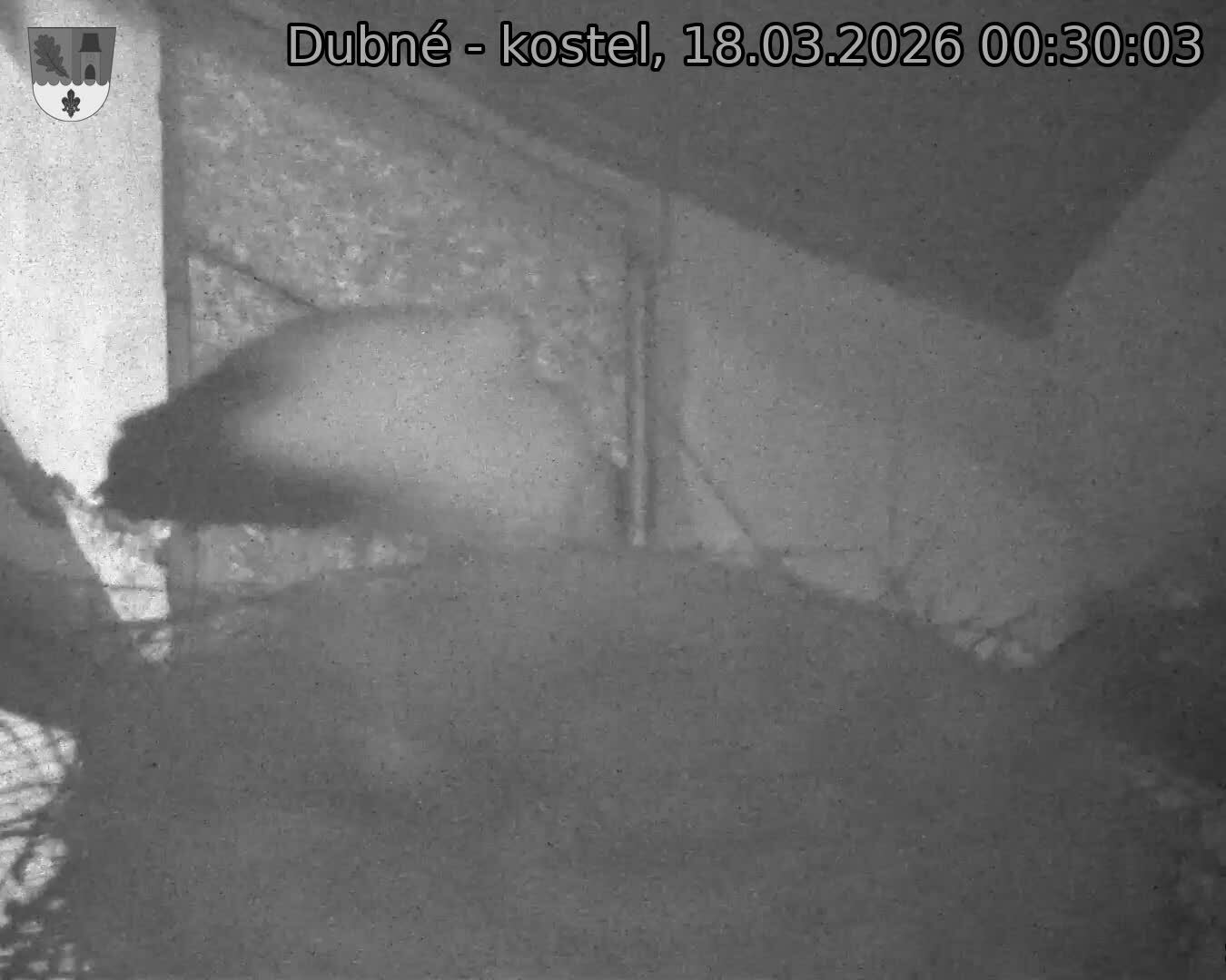 Capi_Dubne_20260318_003003.jpg (1350&nbsp;x&nbsp;1080)