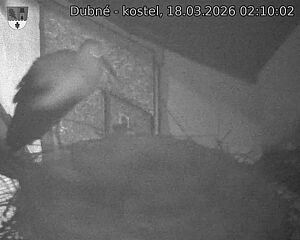 Capi_Dubne_20260318_021002.jpg (1350&nbsp;x&nbsp;1080)