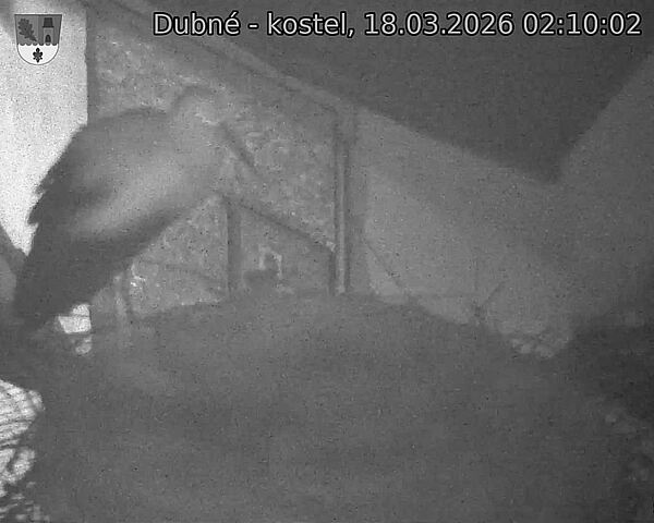 Capi_Dubne_20260318_021002.jpg (1350&nbsp;x&nbsp;1080)