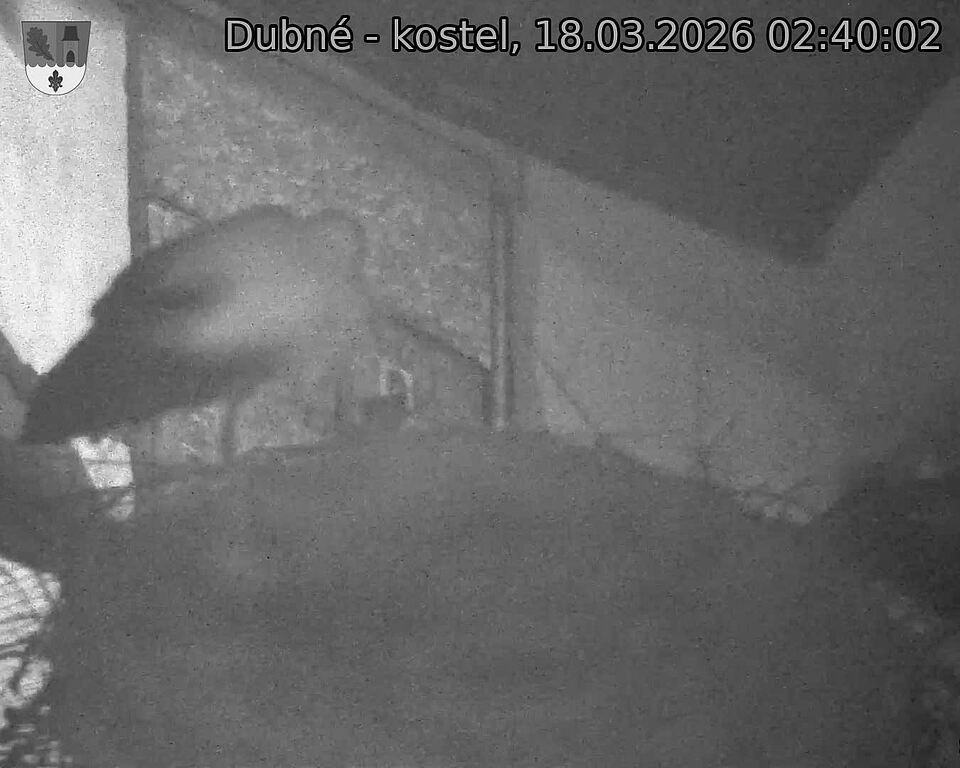 Capi_Dubne_20260318_024002.jpg (1350&nbsp;x&nbsp;1080)