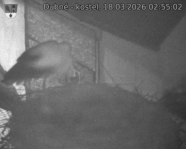 Capi_Dubne_20260318_025502.jpg (1350&nbsp;x&nbsp;1080)