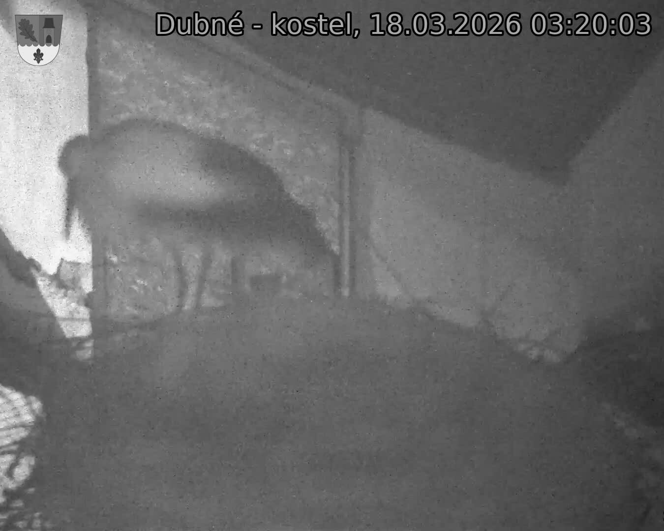 Capi_Dubne_20260318_032003.jpg (1350&nbsp;x&nbsp;1080)