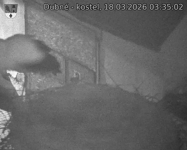 Capi_Dubne_20260318_033502.jpg (1350&nbsp;x&nbsp;1080)