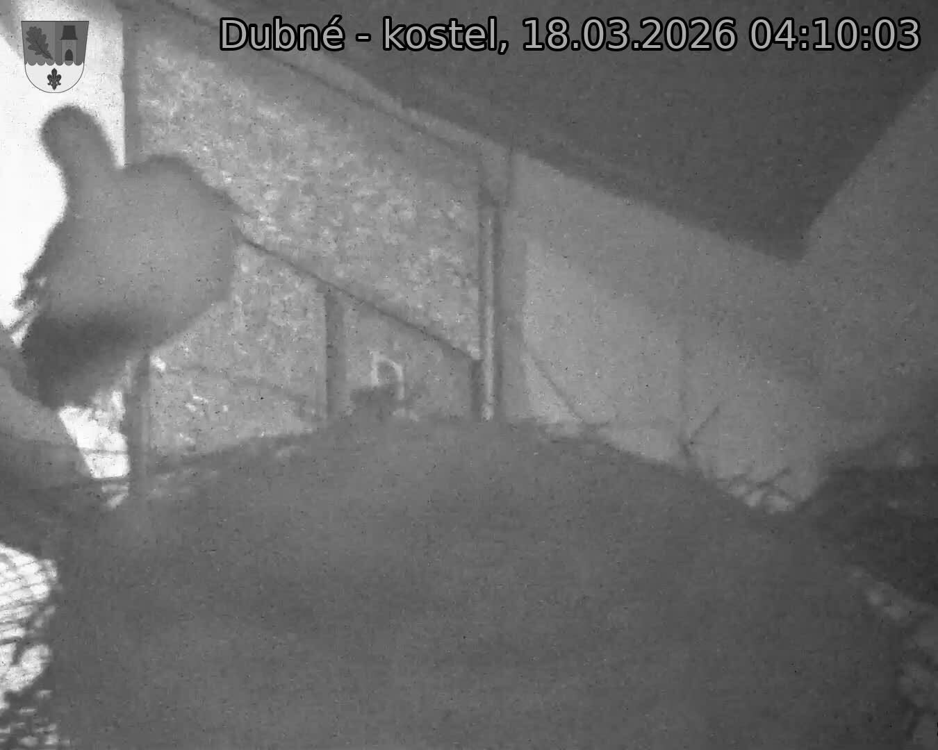 Capi_Dubne_20260318_041003.jpg (1350&nbsp;x&nbsp;1080)
