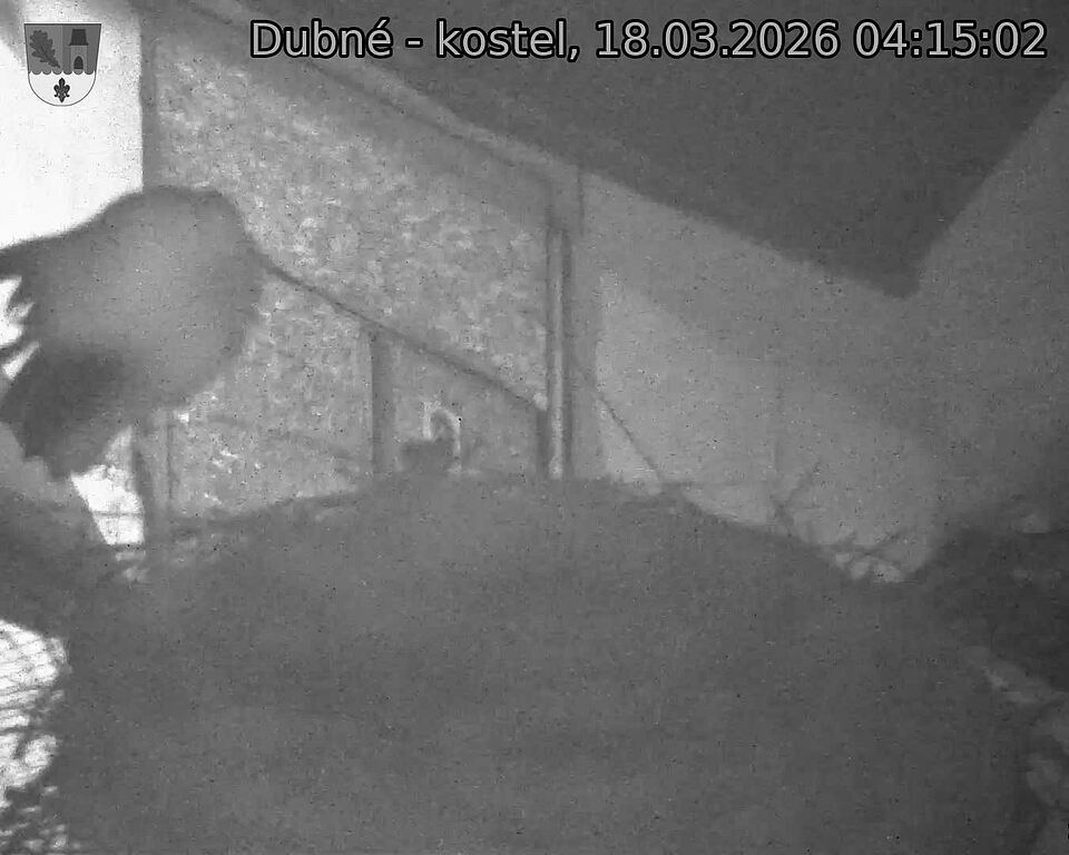 Capi_Dubne_20260318_041502.jpg (1350&nbsp;x&nbsp;1080)
