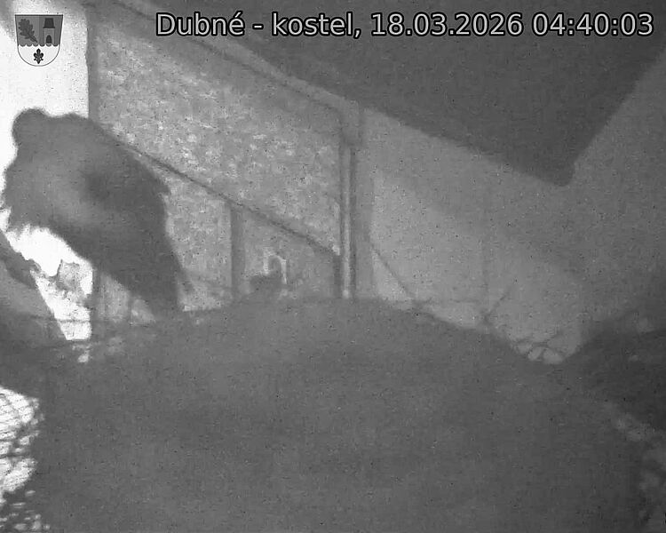 Capi_Dubne_20260318_044003.jpg (1350&nbsp;x&nbsp;1080)