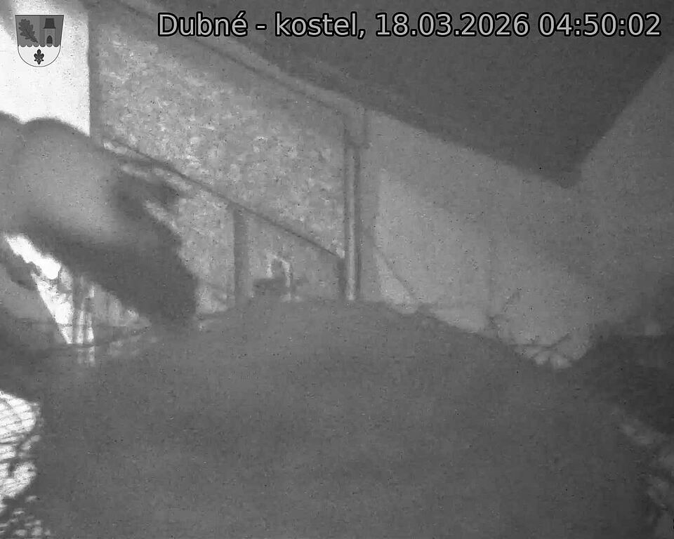 Capi_Dubne_20260318_045002.jpg (1350&nbsp;x&nbsp;1080)