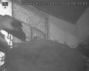 Capi_Dubne_20260318_045503.jpg (1350&nbsp;x&nbsp;1080)