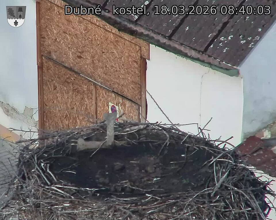 Capi_Dubne_20260318_084003.jpg (1350&nbsp;x&nbsp;1080)