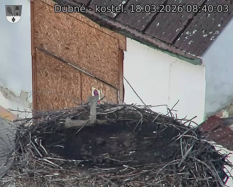 Capi_Dubne_20260318_084003.jpg (1350&nbsp;x&nbsp;1080)