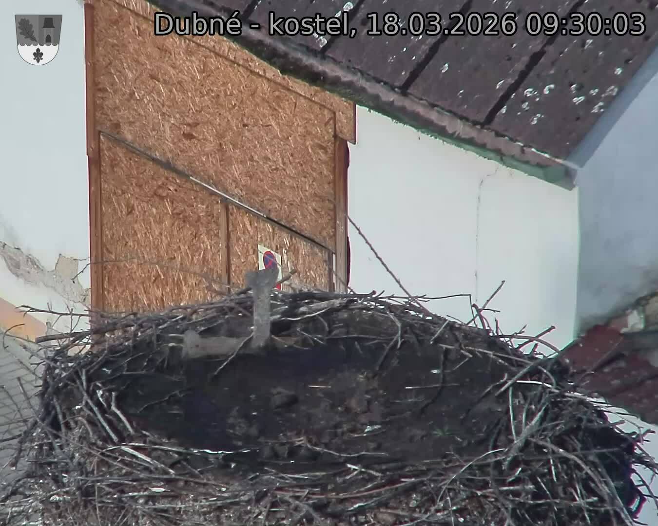 Capi_Dubne_20260318_093003.jpg (1350&nbsp;x&nbsp;1080)