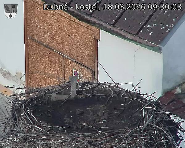 Capi_Dubne_20260318_093003.jpg (1350&nbsp;x&nbsp;1080)