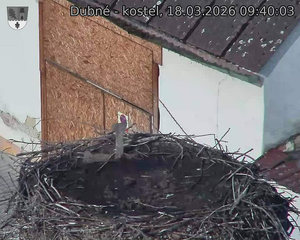 Capi_Dubne_20260318_094003.jpg (1350&nbsp;x&nbsp;1080)