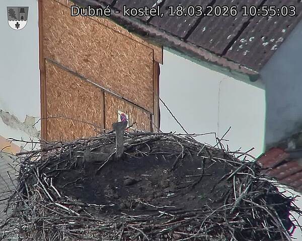 Capi_Dubne_20260318_105503.jpg (1350&nbsp;x&nbsp;1080)