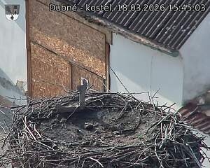 Capi_Dubne_20260318_154503.jpg (1350&nbsp;x&nbsp;1080)