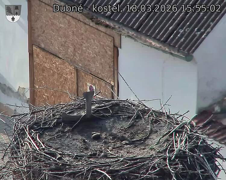 Capi_Dubne_20260318_155502.jpg (1350&nbsp;x&nbsp;1080)