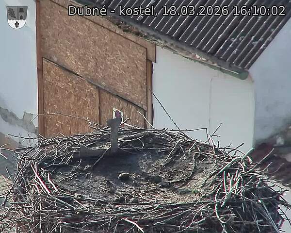 Capi_Dubne_20260318_161002.jpg (1350&nbsp;x&nbsp;1080)