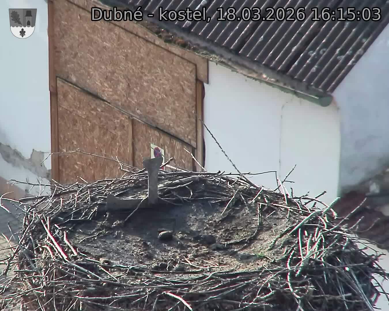 Capi_Dubne_20260318_161503.jpg (1350&nbsp;x&nbsp;1080)