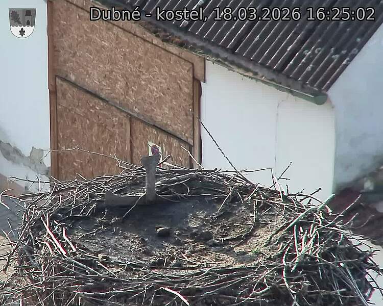 Capi_Dubne_20260318_162502.jpg (1350&nbsp;x&nbsp;1080)