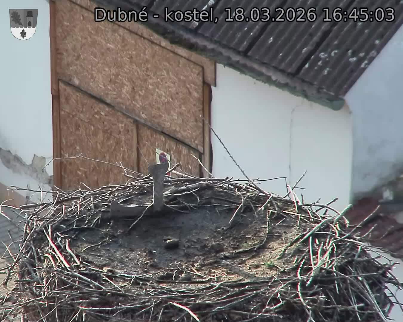 Capi_Dubne_20260318_164503.jpg (1350&nbsp;x&nbsp;1080)
