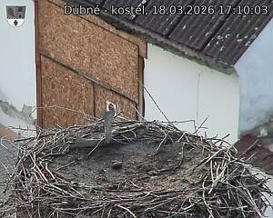 Capi_Dubne_20260318_171004.jpg (1350&nbsp;x&nbsp;1080)