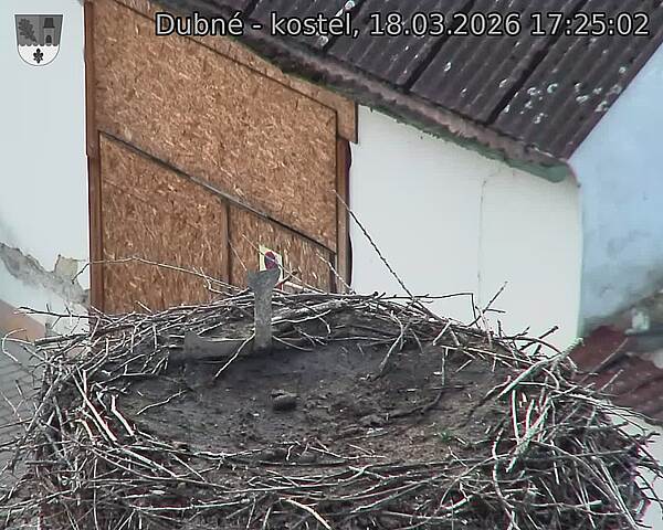 Capi_Dubne_20260318_172502.jpg (1350&nbsp;x&nbsp;1080)