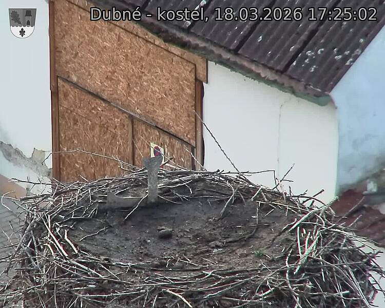 Capi_Dubne_20260318_172502.jpg (1350&nbsp;x&nbsp;1080)