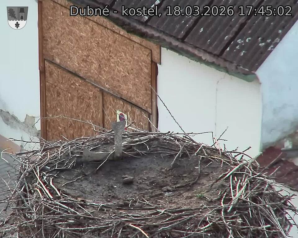 Capi_Dubne_20260318_174502.jpg (1350&nbsp;x&nbsp;1080)