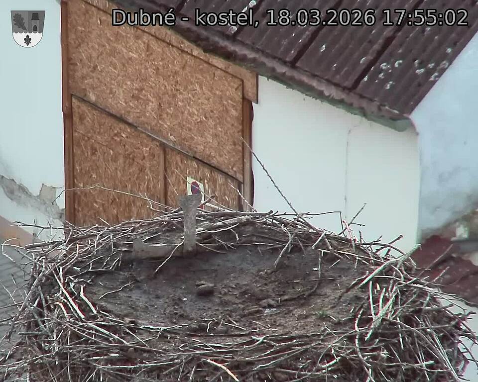 Capi_Dubne_20260318_175502.jpg (1350&nbsp;x&nbsp;1080)