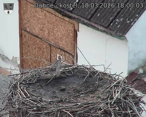 Capi_Dubne_20260318_180003.jpg (1350&nbsp;x&nbsp;1080)